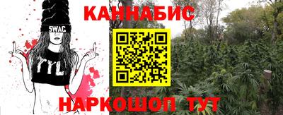 ГАЛЛЮЦИНОГЕННЫЕ ГРИБЫ Кинель