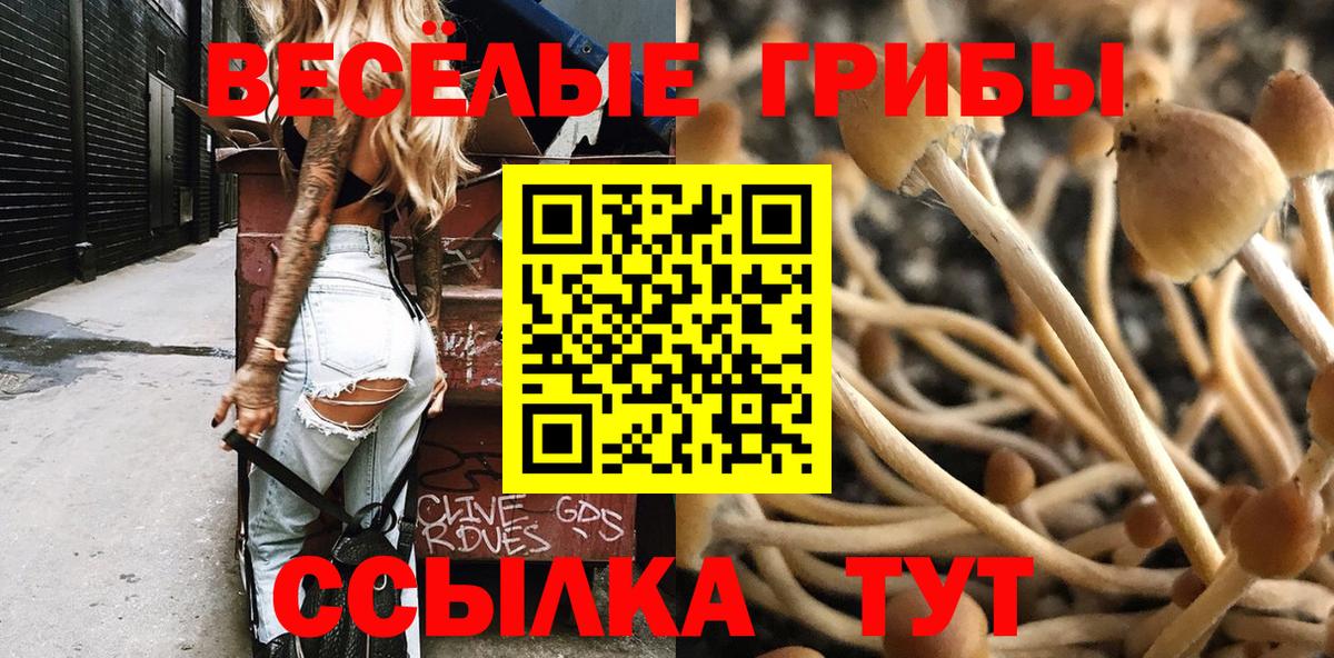 Псилоцибиновые грибы GOLDEN TEACHER Кропоткин