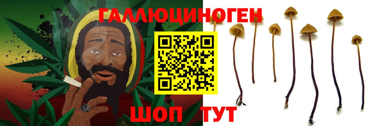 Галлюциногенные грибы GOLDEN TEACHER  Галлюциногенные грибы Magic Shrooms  Вход с VPN  Кропоткин 